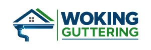 logo 300x100 white